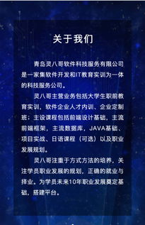 靈八哥軟件科技服務 以卓越信譽引領軟件開發(fā)與定制，打造高性價比技術解決方案