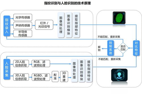 唯眾高職人工智能技術應用專業(yè)解決方案 融合計算機軟硬件的創(chuàng)新技術開發(fā)