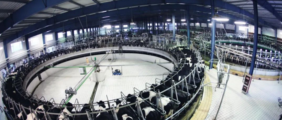 視頻AI視覺分析